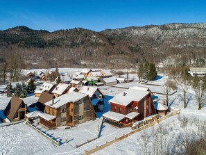 Aerial photography - Villa Šumska vila AVA by Interhome (Jasenak)