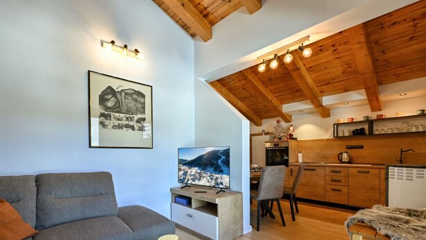 Fernseher