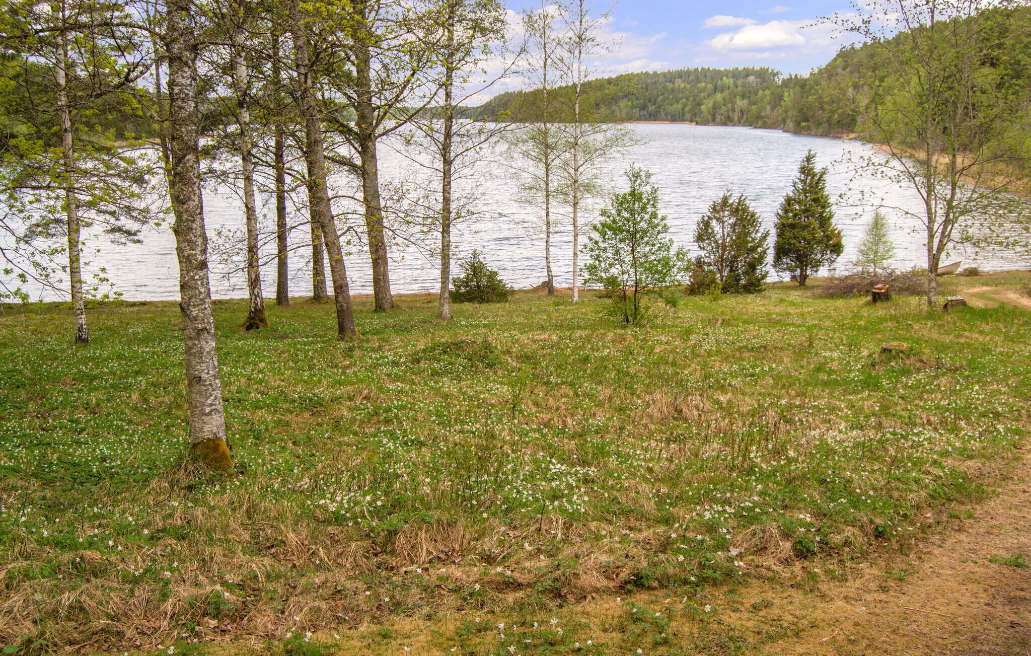 A lake surrounded by trees and grassy areas.