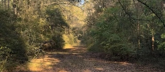 29 acre private campground in soothing Laurel Hill perfect for adventure
