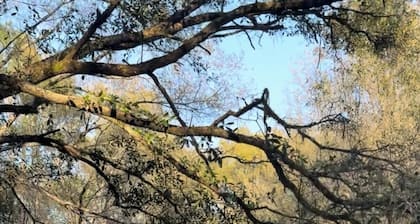29 acre private campground in soothing Laurel Hill perfect for adventure