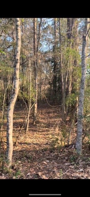 Miscellaneous - 29 acre private campground in soothing Laurel Hill perfect for adventure (Laurel Hill)