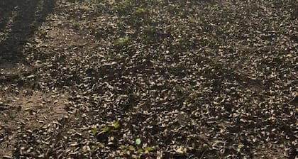 29 acre private campground in soothing Laurel Hill perfect for adventure