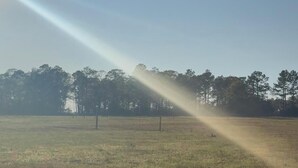 A field with a sprinkler system.