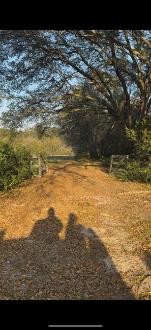 Miscellaneous - 29 acre private campground in soothing Laurel Hill perfect for adventure (Laurel Hill)