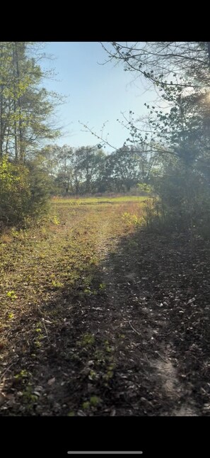 Miscellaneous - 29 acre private campground in soothing Laurel Hill perfect for adventure (Laurel Hill)
