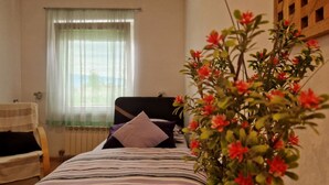 A bedroom with a bed, a chair, a window with curtains, and a potted plant. - Geräumiges Ferienhaus mit kleinem Garten, nur fünf Gehminuten vom bekannten Bas by Interhome (Sarajevo)