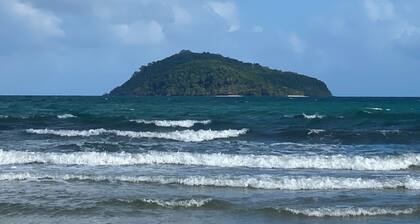 Daintree Private Escape is on 87 acres. Privacy fit for a Hollywood Movie Star!