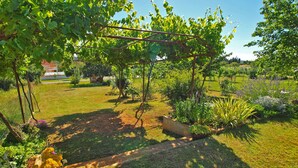 Área da propriedade