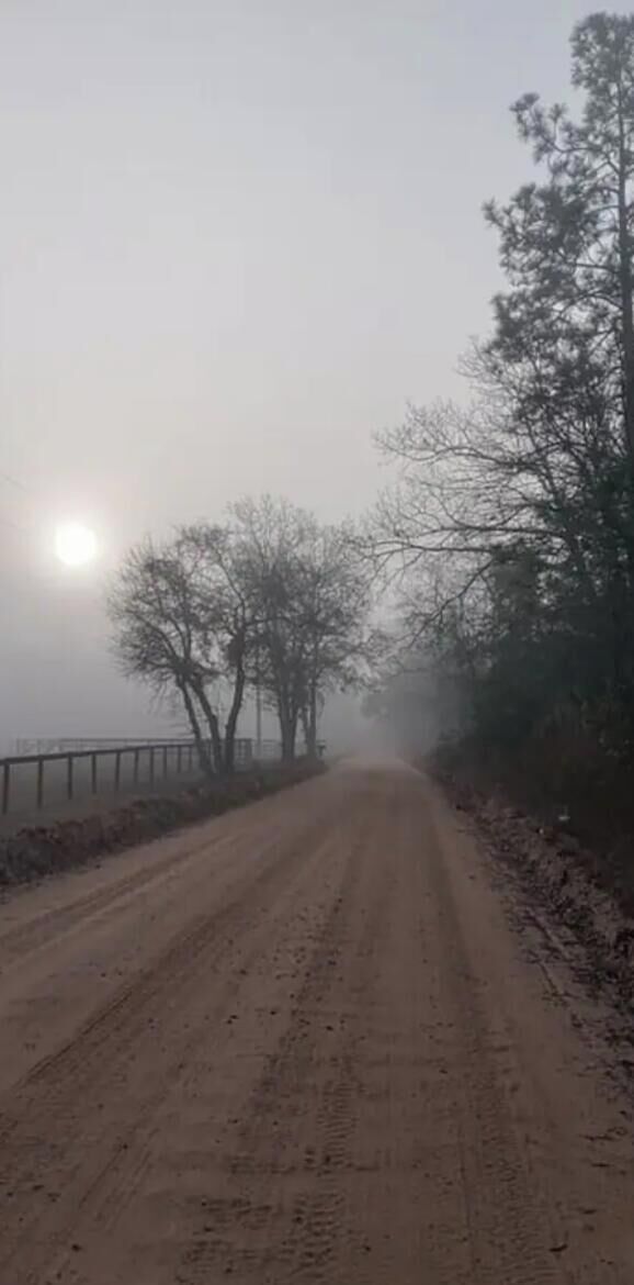 Una strada nebbiosa con alberi spogli e una recinzione su un lato.