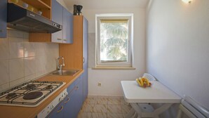 Private kitchen - Apartment 343 by Interhome (Dracevac)