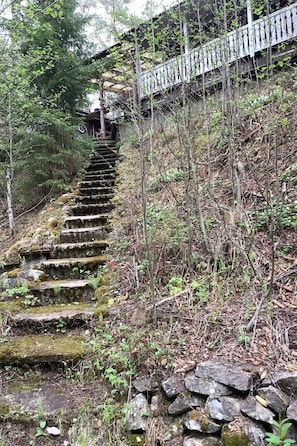 Un escalier en pierre menant au sommet d’une colline, entouré d’arbres et de végétation.