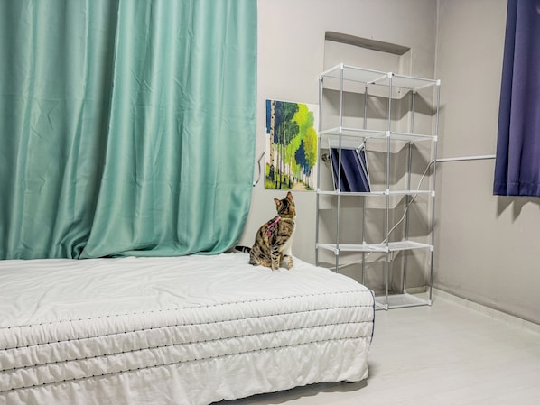 A bedroom with a bed, a cat, a white shelf unit, and a painting on the wall.