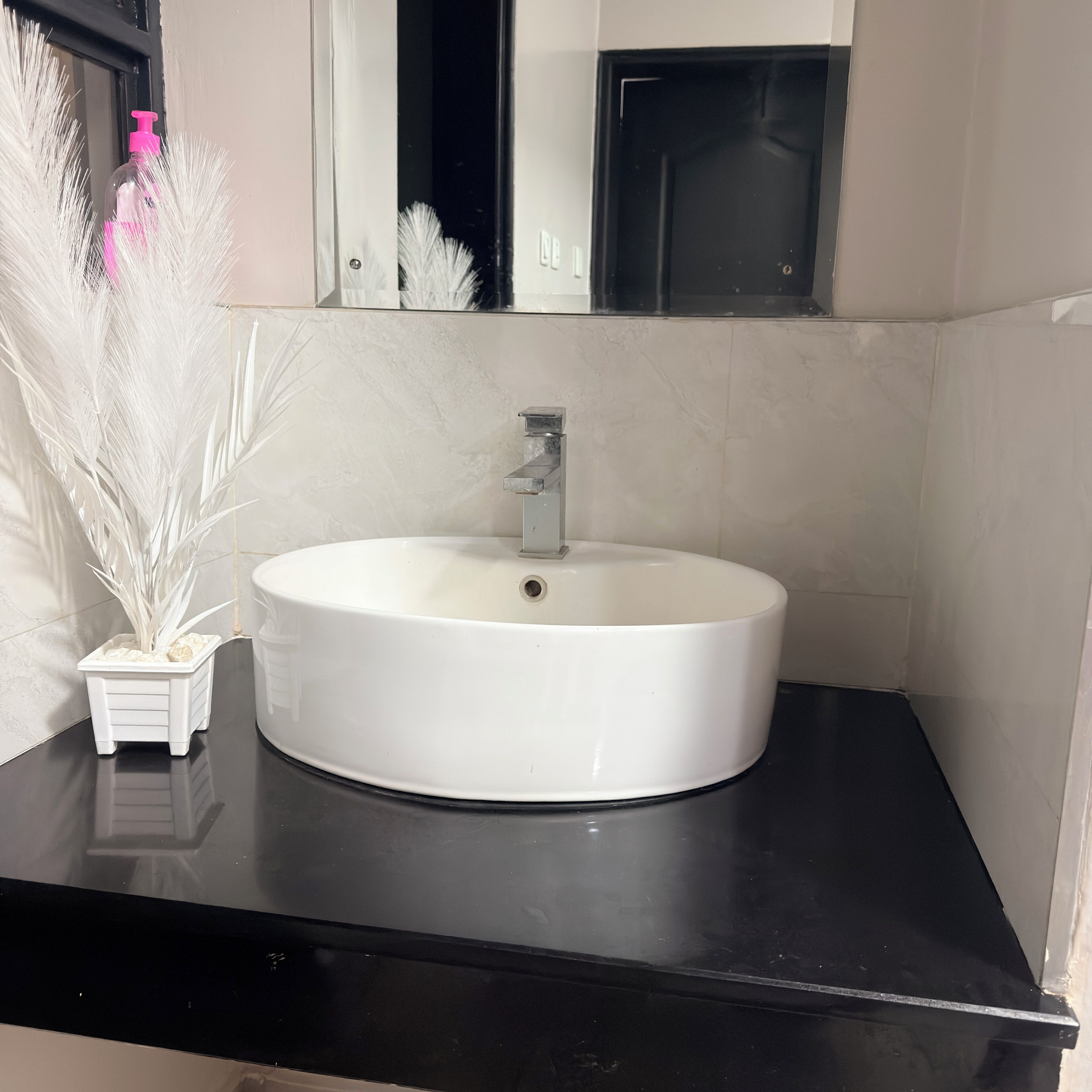 Casa de banho com lavatório branco, espelho e planta em vaso.