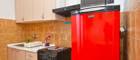 Fridge, microwave, oven, cookware/dishes/utensils