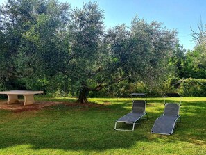 Property grounds - Renovierte Wohnung in Zambratija mit Großem Garten by Interhome (Umag/Juricani)