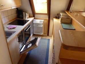 Frigorífico, microondas, horno y placa de cocina