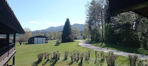 On aperçoit une zone herbeuse avec un sentier menant à un bâtiment dont le toit est recouvert de chaume.