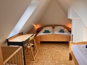 Internet - Vacation apartment/apartment for 5 guests with 55m² in Baltrum (313999) (Baltrum)