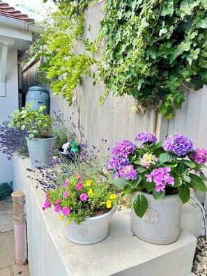 Exterior detail - Cute cottage beside The River Thames & Hampton Court Palace (Hampton Wick)