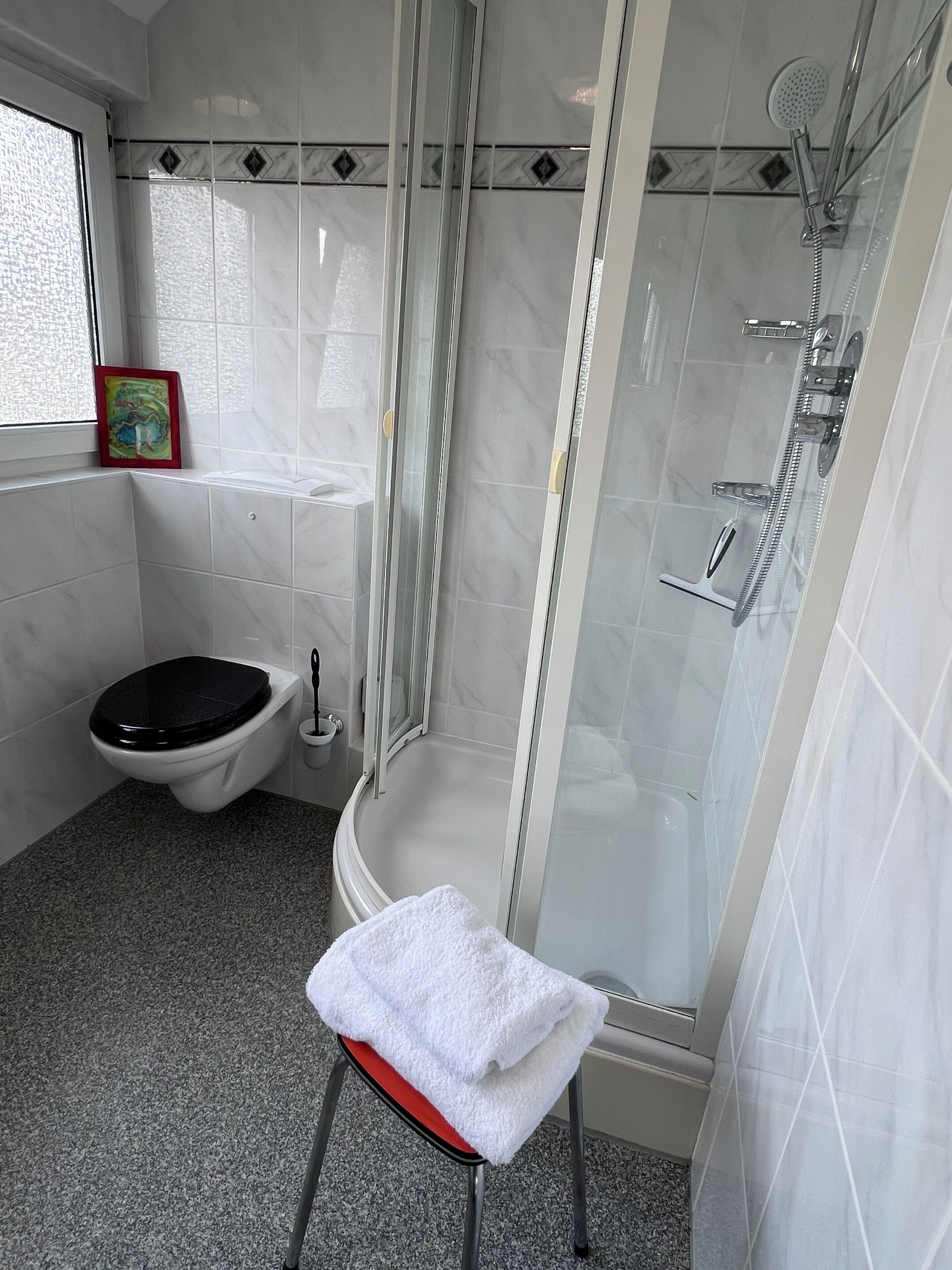 Shower, towels, soap, toilet paper