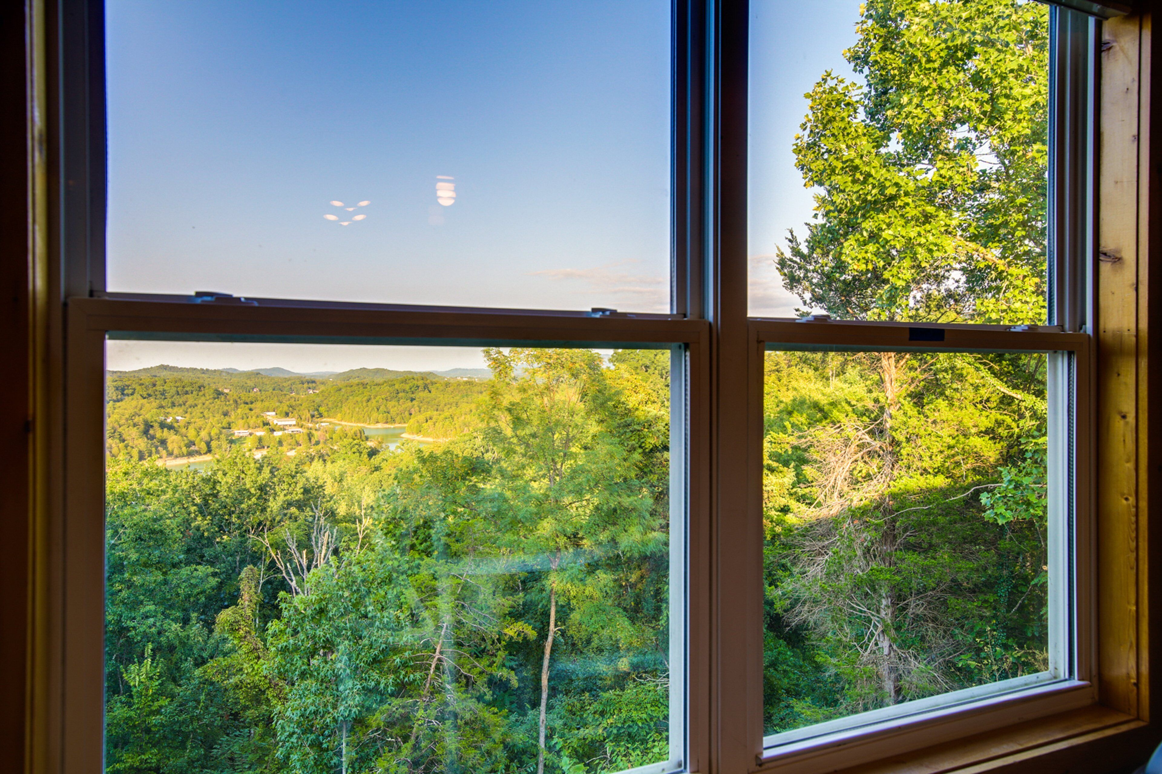 A window with a view of a forested landscape.