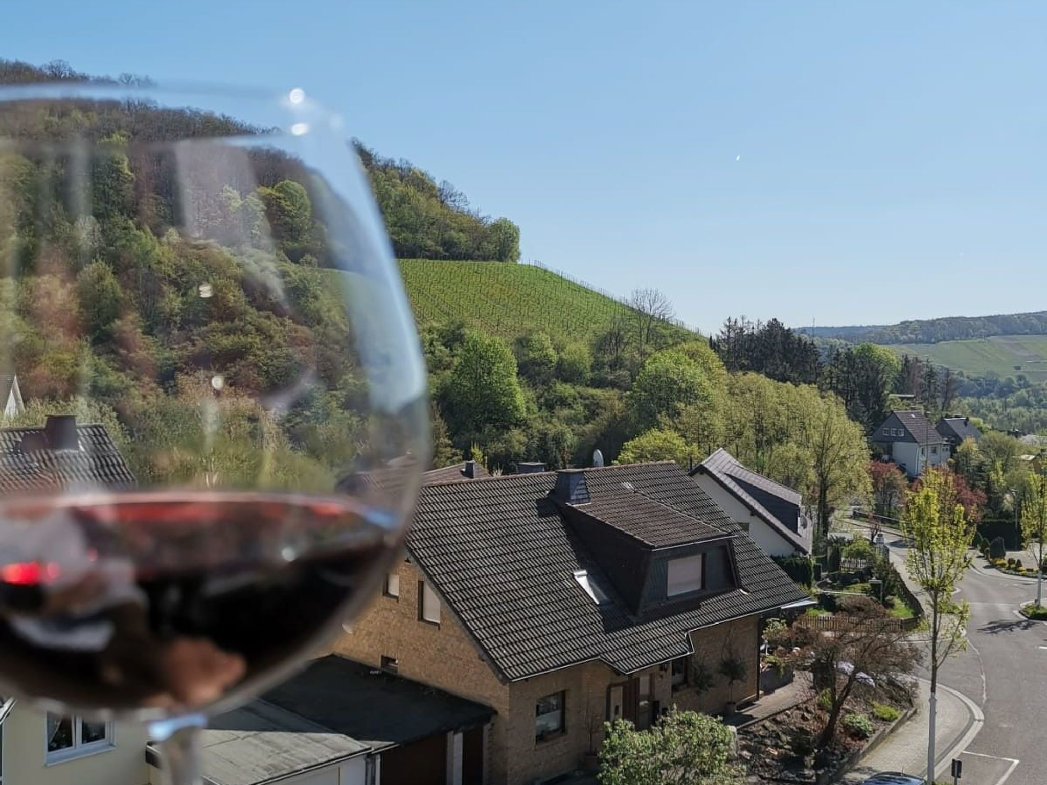 A glass of red wine with a view of a residential area, houses, and a hill.