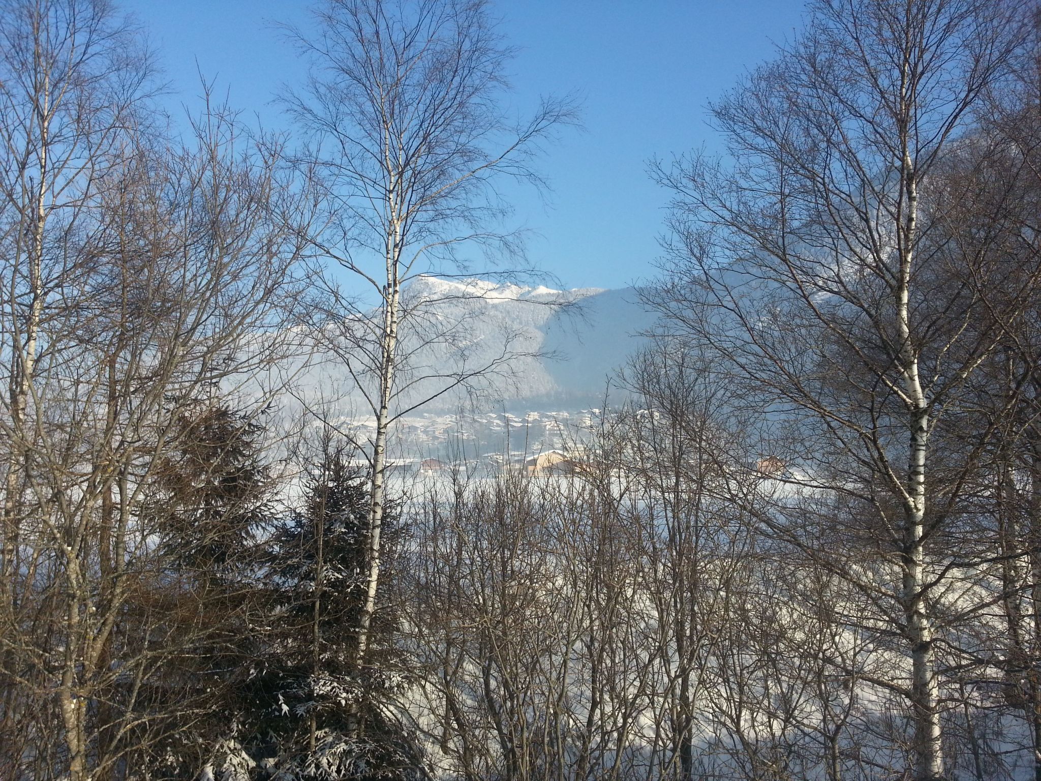 A snowy landscape with trees and a mountain in the background.