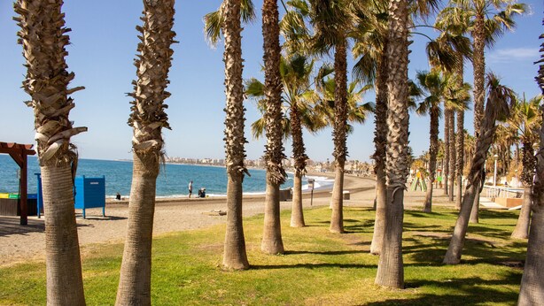A beach with palm trees, a blue structure, and a view of the sea. - Apto. Barbacana by At Home Costa del Sol (Caleta de velez)