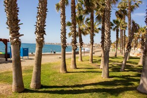 Ein Strand mit Palmen, einer blauen Struktur und Blick aufs Meer.