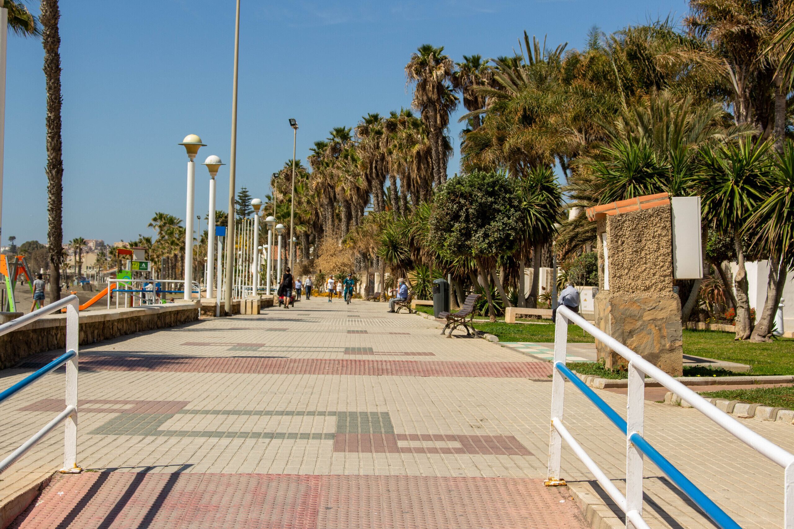 A paved walkway with railings, palm trees, and street lamps.