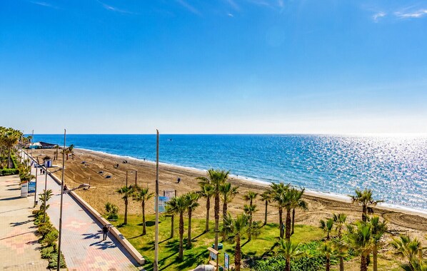 Ein Strand mit Palmen, wolkenlosem Himmel und ruhiger See.