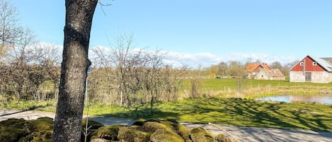 Talo | Ulkoalueet