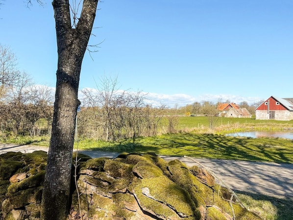 House | Property grounds