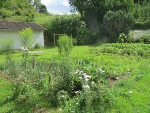Property grounds - in ruhiger Lage in der Nähe zahlreicher Wanderro by Interhome (Wutha)
