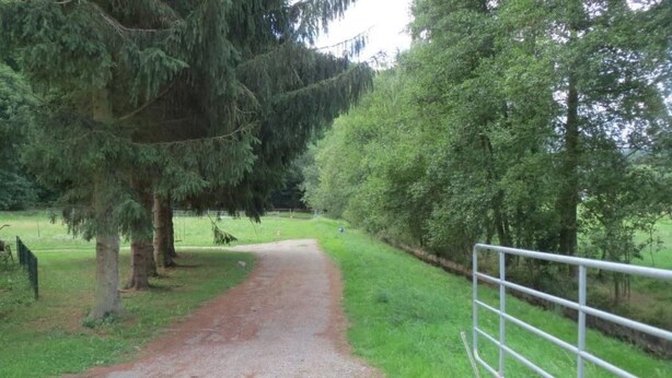 A gravel path leading through a wooded area with a metal fence on one side. - in ruhiger Lage in der Nähe zahlreicher Wanderro by Interhome (Wutha)