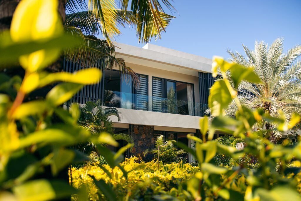 A modern building with large windows, surrounded by lush greenery and palm trees.