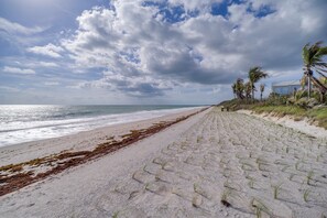 A beach with a sandy path, palm trees, and a building in the background.