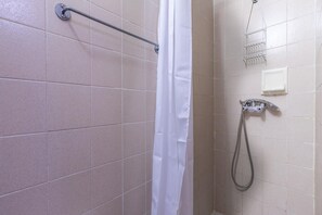 Shower, hair dryer - Spacious Alpine Triplex with Terrace (GUILLAUMES)