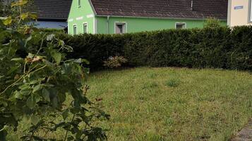 A green house with a sloped roof, a hedge in front, and a grassy yard.