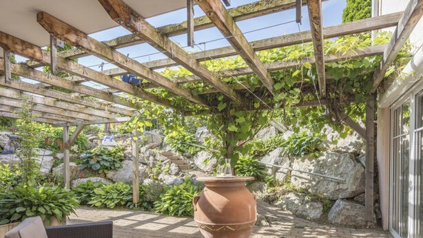 Uma área externa coberta com pérgola, plantas em vasos e um grande vaso de terracota.