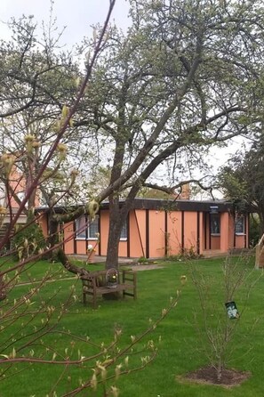 A building with a garden, a bench, and a small tree. - Feienhaus Gregor by Interhome (Birkenwerder)