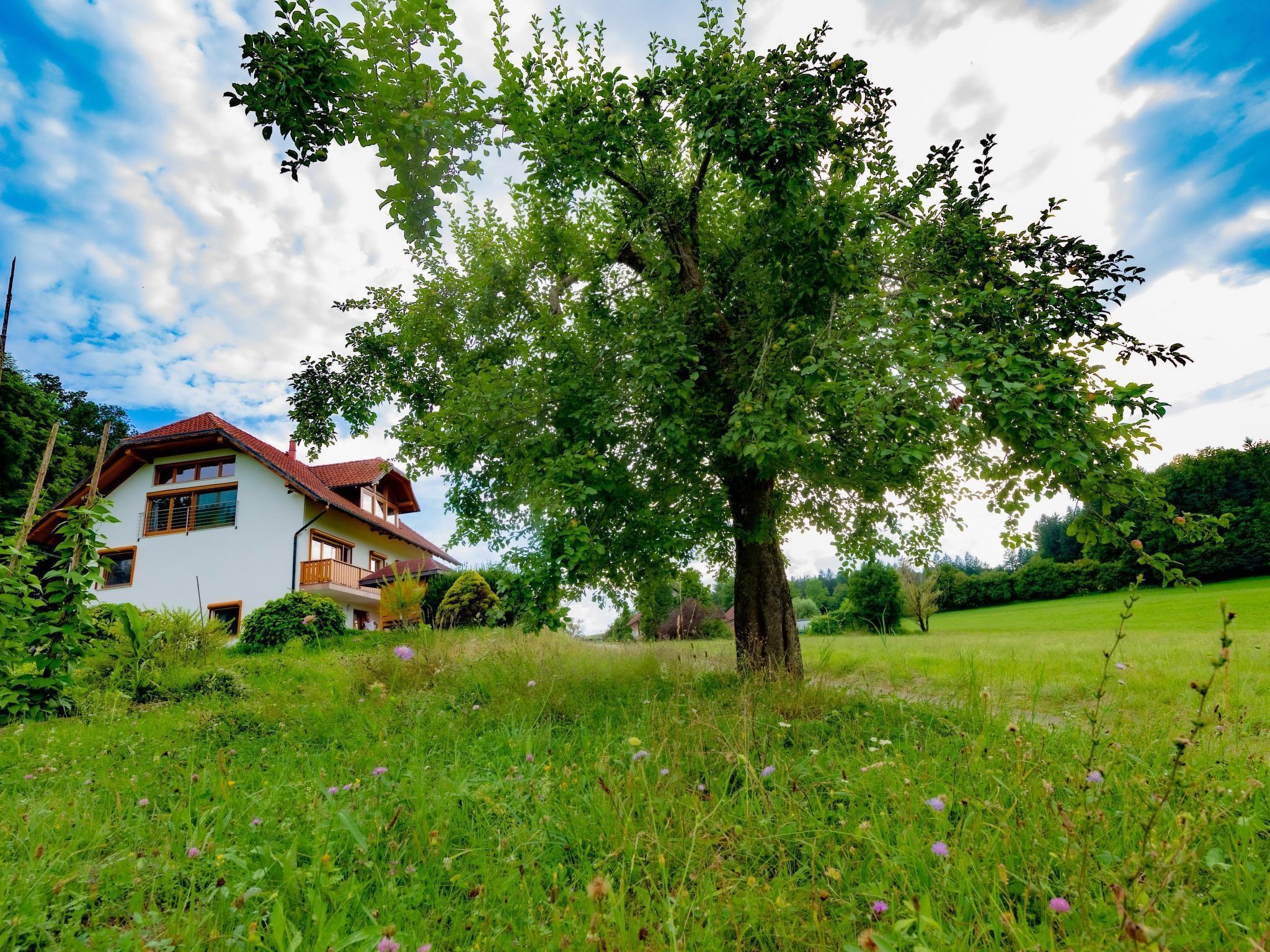 Ein Haus mit geneigtem Dach, umgeben von einer Wiese und einem großen Baum.