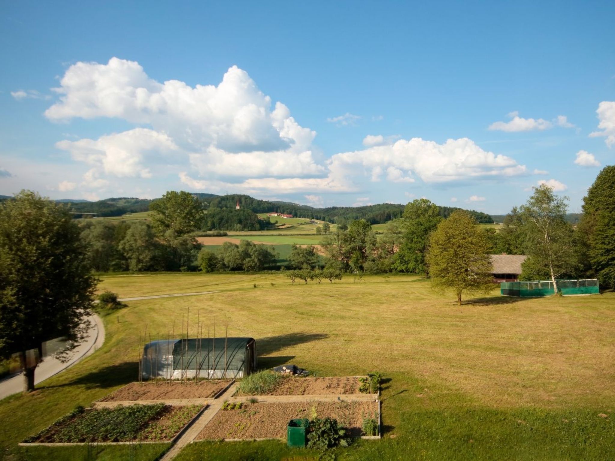Un paysage rural avec une route, des serres et une église au loin.