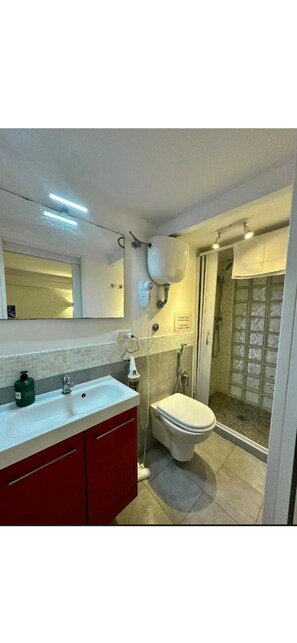 Hair dryer, towels, soap, toilet paper - Nico Domus Partenopea (Napoli)
