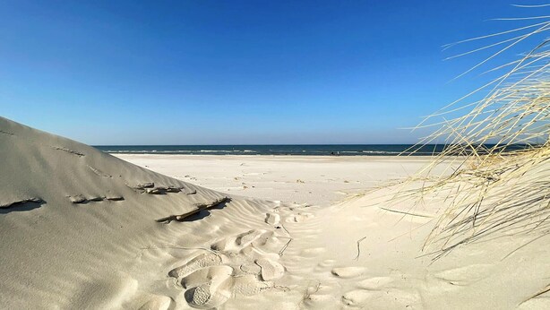 Une plage de sable avec des empreintes et une végétation clairsemée.