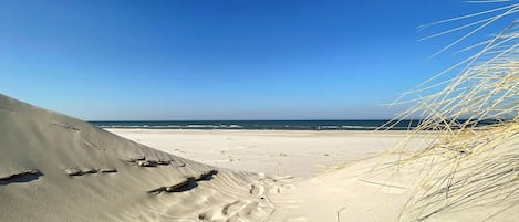 PĂȘche sur place