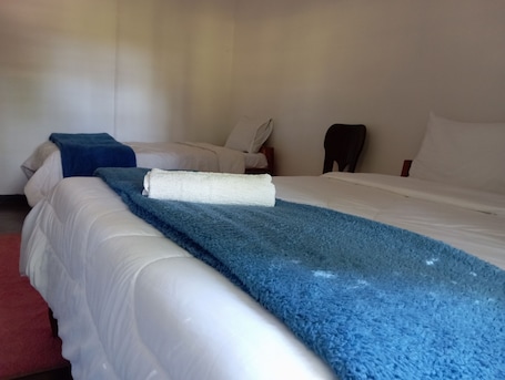 Escritorio y espacio para trabajar con laptop . blue Waxbill Lodge