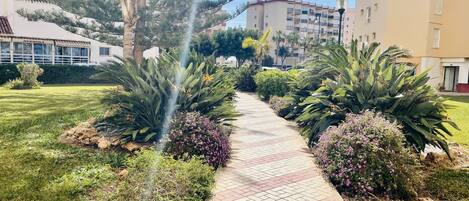 A pathway flanked by lush greenery and a building with balconies.