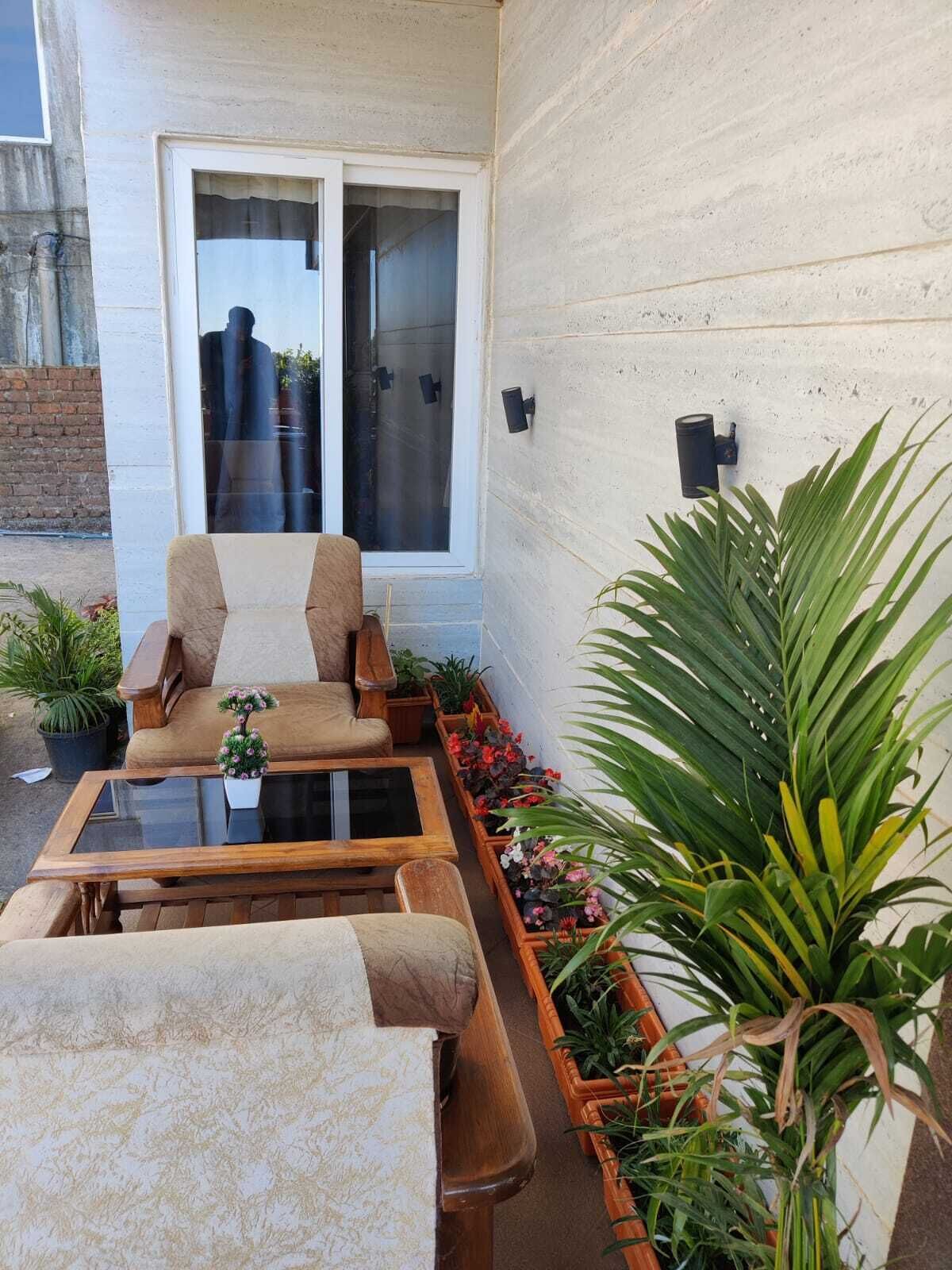 Une terrasse avec un canapé, une table basse et des plantes en pot.